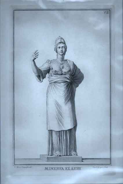 Minerva Exaere VII.