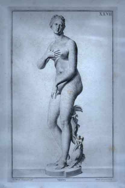 Venus.  Pl. XXVII.