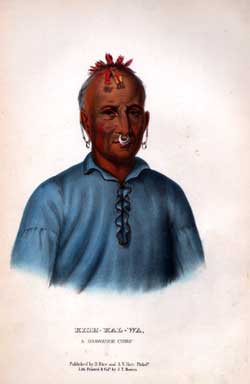 Kish Kal Wa.  A Shawanoe Chief.