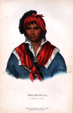 Nea Math La, A Seminole Chief.