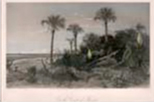 On The Coast of Florida