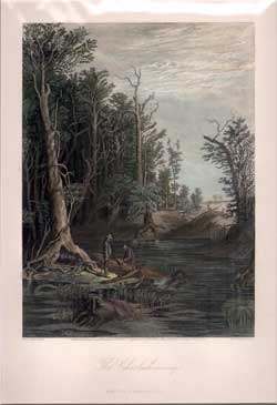The Chickahominy-HC