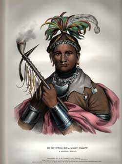 Ki on twog ky or Corn Plant.  A Seneca Chief. 