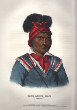 Foke Luste Hajo.  A Seminole.