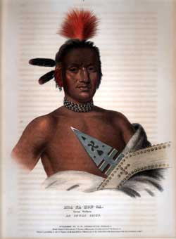 Moa Na Hon Ga.  Great Walker.  An Ioway Chief.