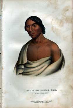 O-HYA-WA-NINCE-KEE, a Chippewa Chief